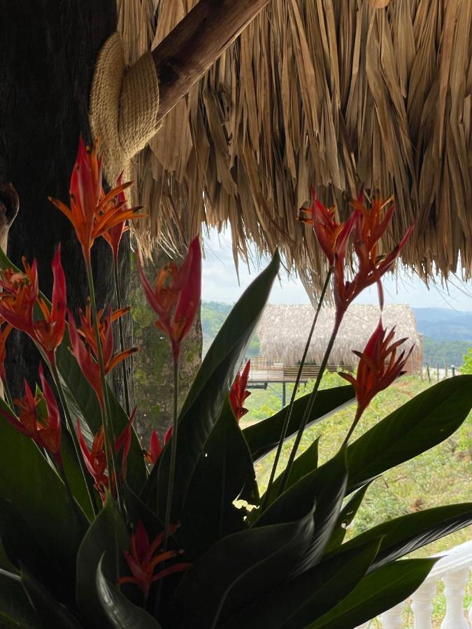 La Manola Finca Hotel Doradal Exterior photo